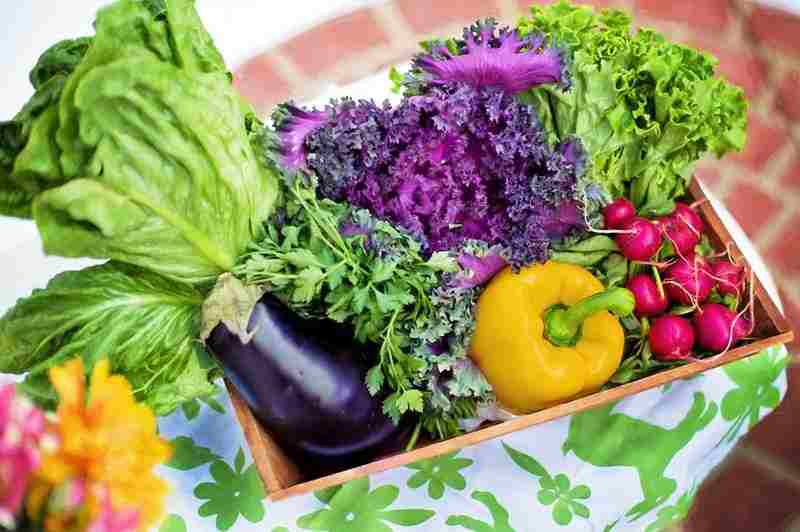 zdrowy styl joanny, dieta, zdrowa dieta, warzywa, blog kulinarny, influencer, szparagi, seler, kalafior, brokul, kapusta, kukurydza, papryka, cukinia,szpinak, papryka, rzodkiewka, Jak prawidłowo przechowywać warzywa.jarmuż, por, pietruszka, marchewka, jak przedłużyć zycie warzyw, gdzie trzymać warzywa, świeże warzywa, czosnek, cebula, dynia, ziemniaki, fasola, zielona fasola, sałata, pomidory, ogórek,